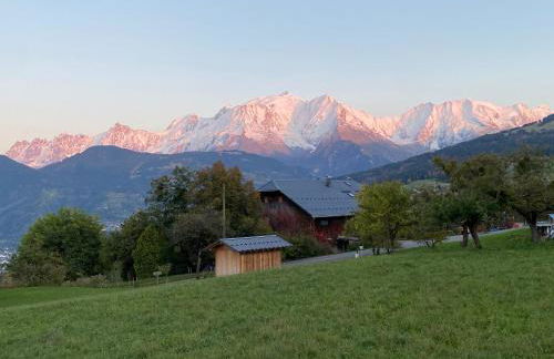 Les Ours de Combloux - Photo 36