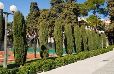 Greystar Apartment Dubrovnik - Foto 54