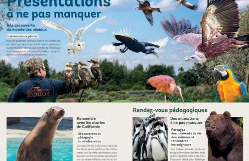 Gîte La Terrasse du Loir à 2km du Zoo de la Flèche - Photo 55