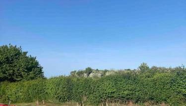 Ferienwohnung Nr. 3 Rügen Zudar Kanu Kajak Bodden - Foto 3