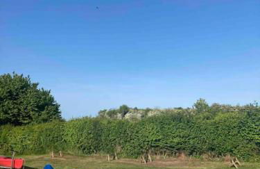 Ferienwohnung Nr. 3 Rügen Zudar Kanu Kajak Bodden - Foto 3