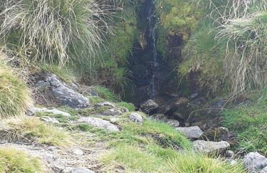 Hospederia Doña Ligia - Foto 54