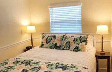 2 Bedroom Apt Overlooking Dunedin Town Square NO KIDS, NO PETS - Photo 4