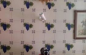 Monte da Tarouca no Alto Alentejo - Foto 41