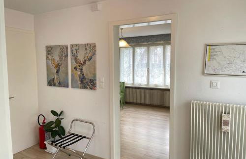 SUITE DOLOMITI Appartamento - Foto 16