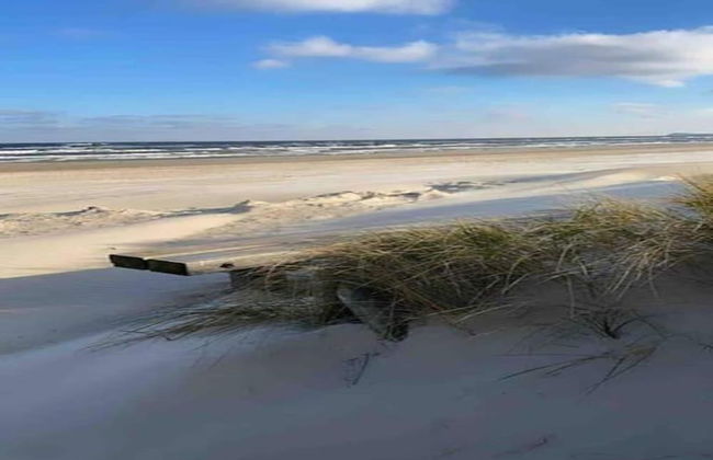 Insel-bungalow auf Poel - Foto 20