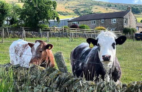 Riding house Farm Cottages - Photo 40