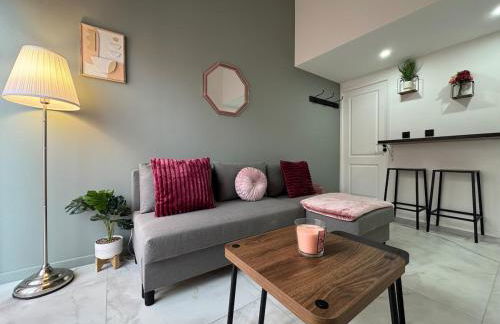 Petit Boudoir Lyonnais neuf terrasse climatisé - Foto 28