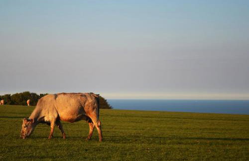 The Yorkshireman - Foto 24