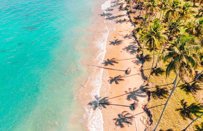 Excursión privada a Mirante da Sereia, playa de Ipioca y Paripueira - Foto 6