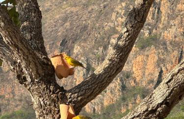 Canastra - Chalés Canário de Minas - Foto 51