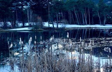 Petit chalet 40 m2 en Ubaye BARCELONNETTE - Foto 22