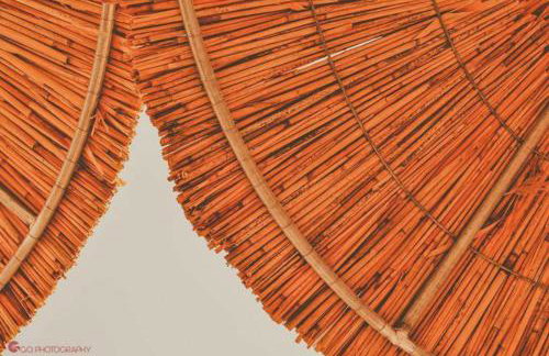 Isla Studios - Foto 10