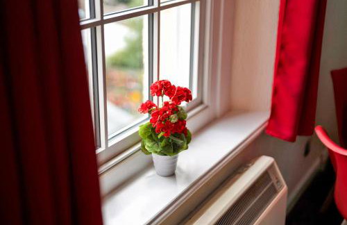 Stylish Clifton Penthouse, Permit Parking x1, Nr Centre, Garden - Foto 28