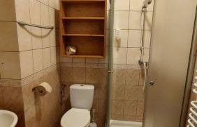 Bacówka Biały Jeleń - Photo 46