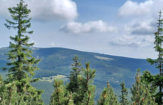 Holiday Hill 67 - Foto 68