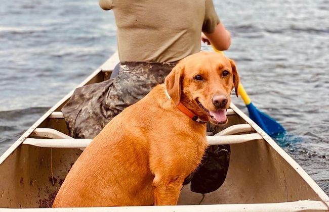 Adirondack Lake Cabins - Foto 66