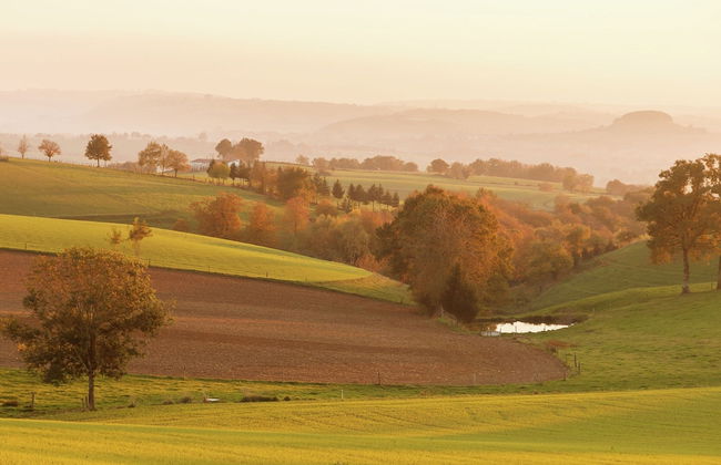 Holiday Home in Auvergne With Roofed Garden and Terrace - Foto 72