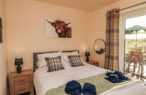 Red Squirrel - Foto 22