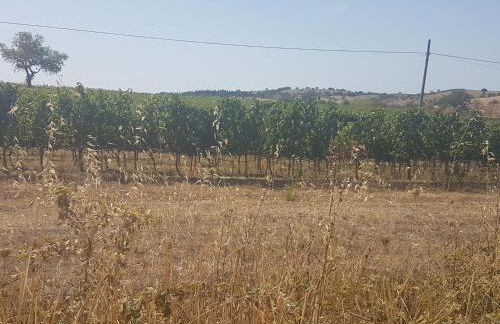 Casa di Campagna - Foto 6