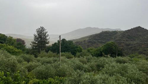 Villino Anna e Pippino - Foto 2