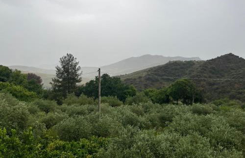 Villino Anna e Pippino - Foto 2