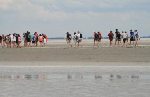 Le Petit Manoir - Jean Gédouin - Foto 32