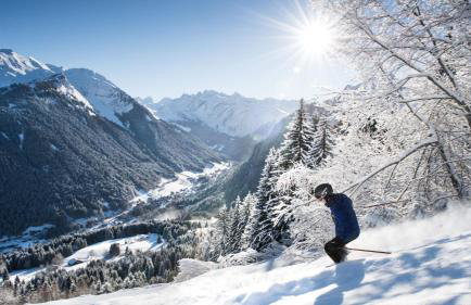 PICARON A13 - Foto 22