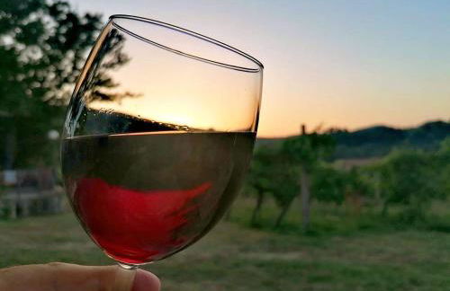 Podere Bellavista - Foto 71