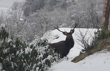 The Armoury - Foto 12