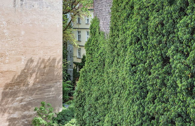 Wilmina Apartments & Lofts - Foto 52