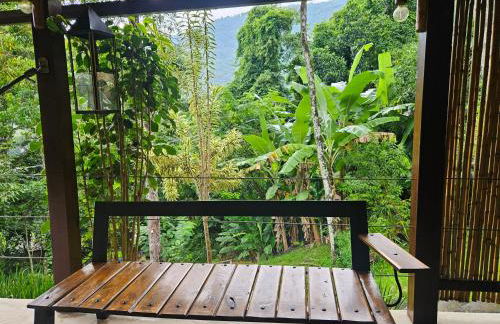 Green Area House - Foto 21