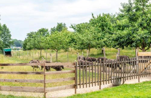 Beutenmühle Straussenfarm Dach - Foto 34