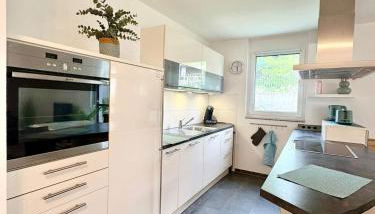 Familienfreundliche Ferienwohnung mit Garten in Moos Weiler am Bodensee - Foto 2, stove, dishwasher