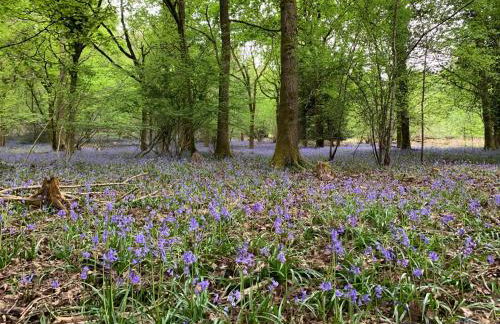 Pumping Station Holidays - Foto 59