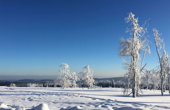 Ferienhaus mit Sauna in Winterberg - Foto 38