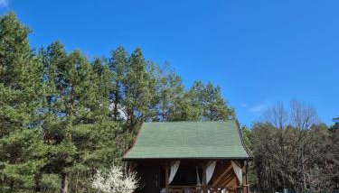 Domek w Sosnach - Foto 5