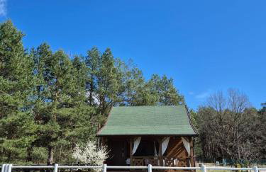 Domek w Sosnach - Foto 5