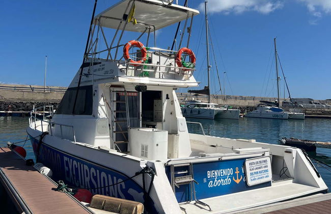 Paseo en barco con avistamiento de cetáceos desde Corralejo - Foto 3
