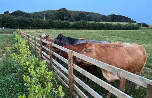 Foxhall Farm - Foto 55