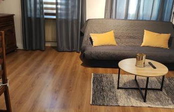 gîte au coeur d'argent - Foto 9