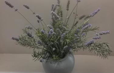 Maison la tour - Photo 26