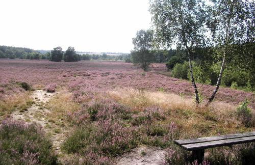 Ferienwohnungen Liedtke - Foto 22