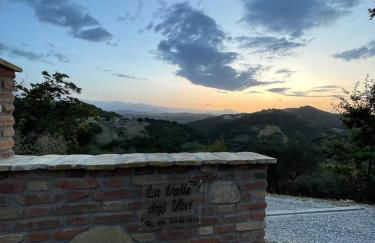 La Valle degli ulivi - Foto 12