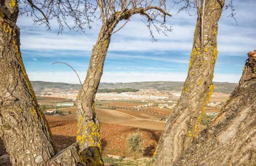 Cortijo Borreguero - Photo 26
