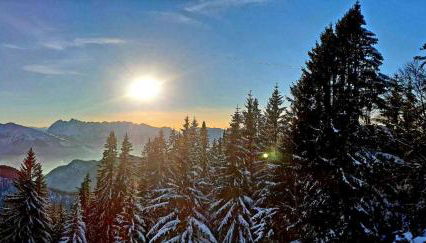 Haus Wiesenblick - Foto 5