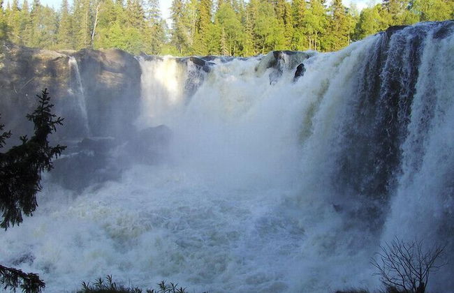 Ristafallets camping - Photo 28