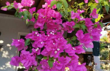 Iro's Cute House - Foto 21