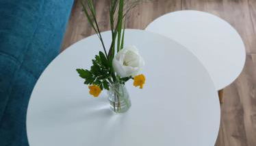 Weinseelig14 - Foto 4