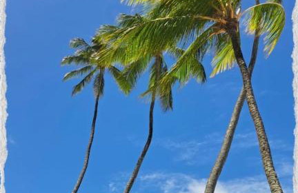 Refúgio exclusivo Eco Resort praia dos Carneiros - Foto 6